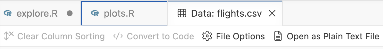Screenshot of the Positron Data Explorer, showing the Show Plain Text button